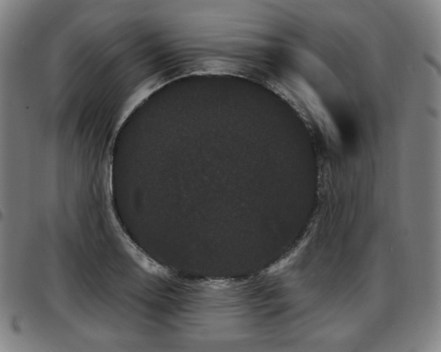 X0000097631130200802291334