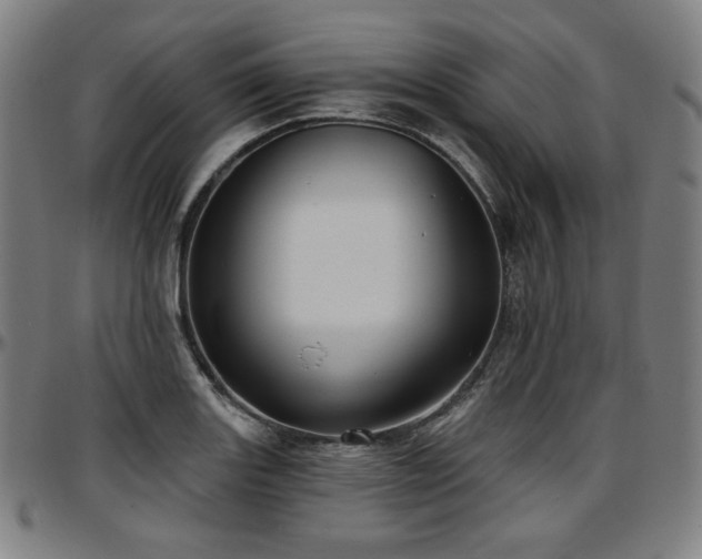 X0000097631131200802291334