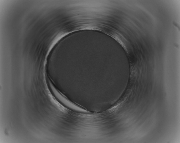 X0000097631132200802291334