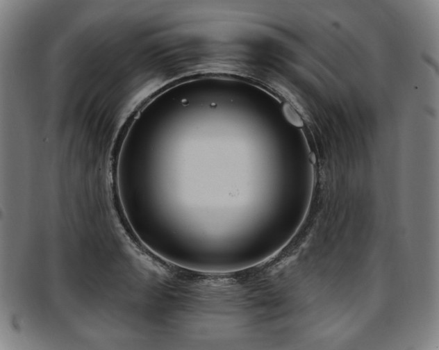 X0000097631133200802291334