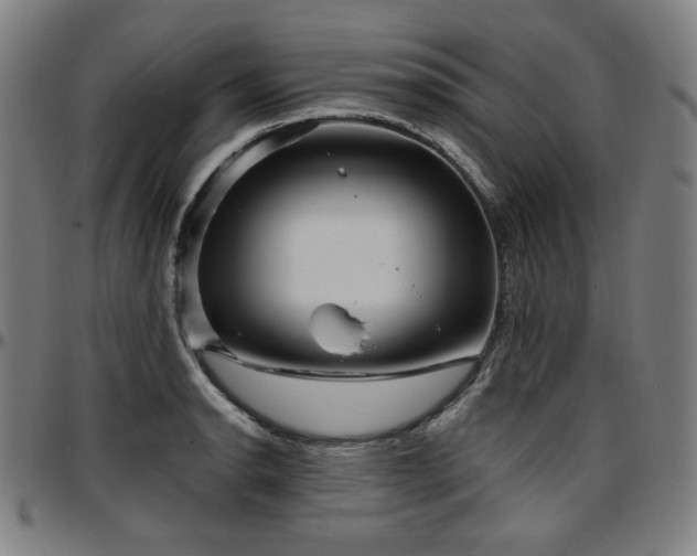 X0000097631134200802291334