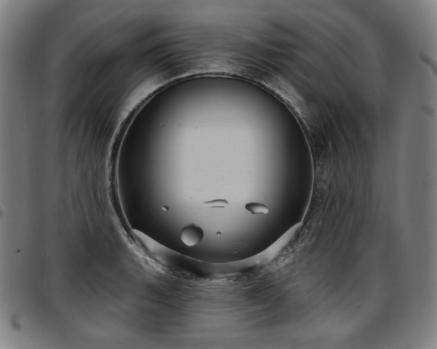 X0000097631135200802291334