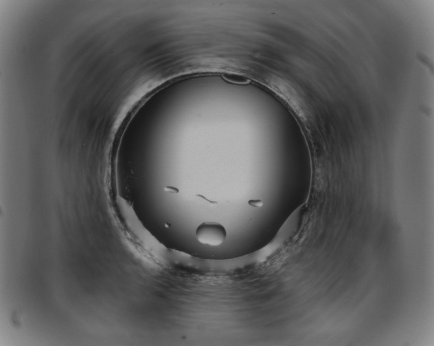 X0000097631136200802291334