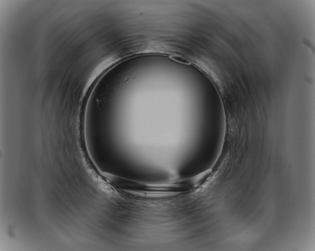 X0000097631138200802291334