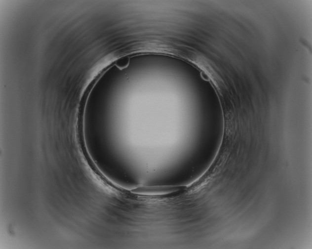 X0000097631139200802291334