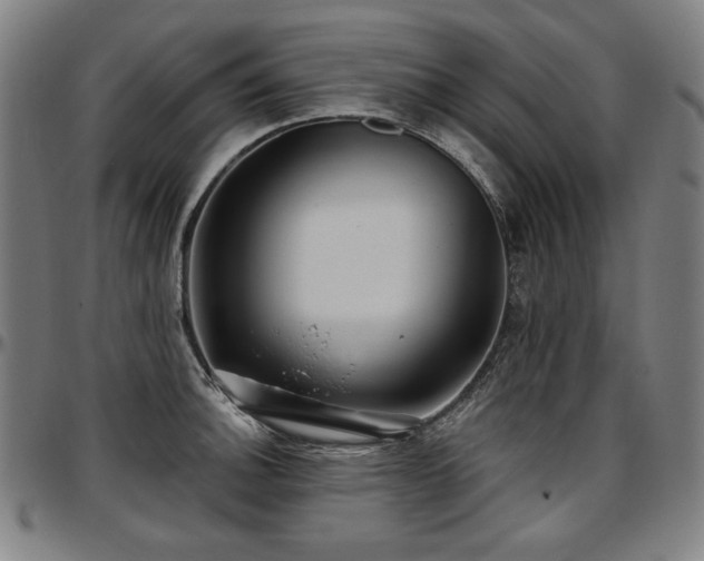 X0000097631140200802291334