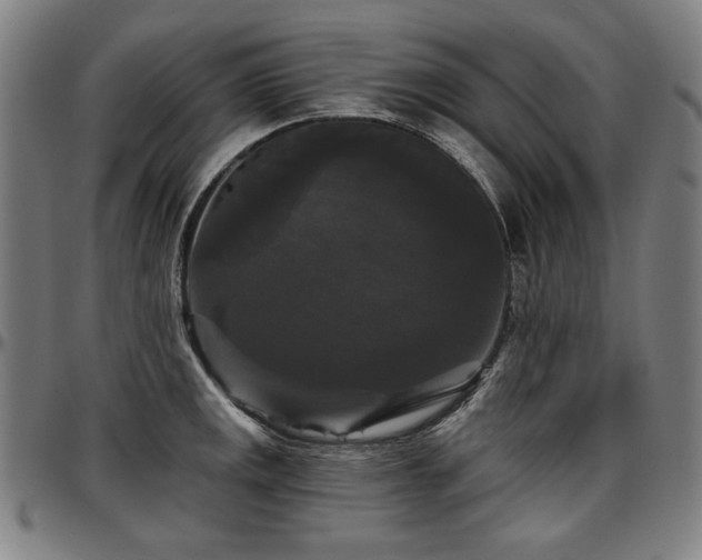 X0000097631141200802291334