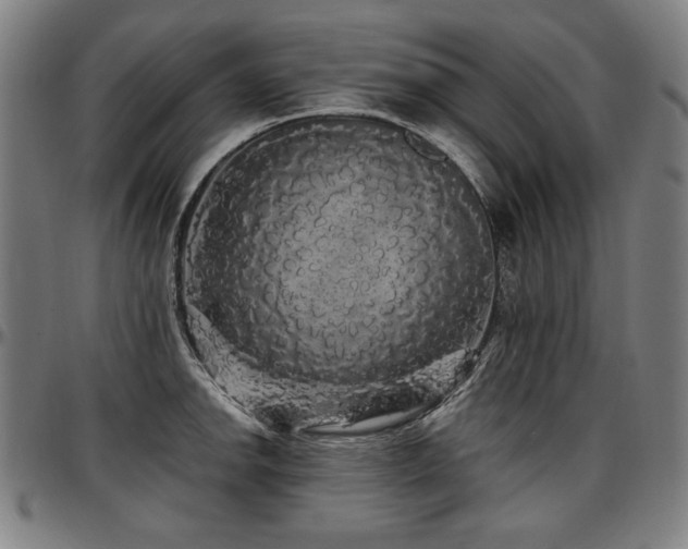 X0000097631142200802291334