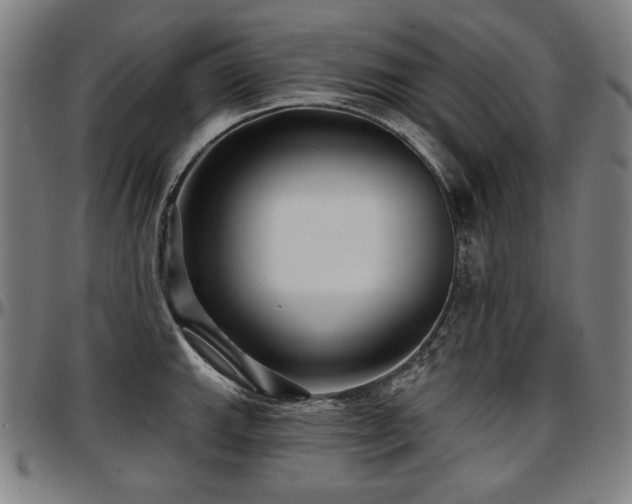 X0000097631143200802291334