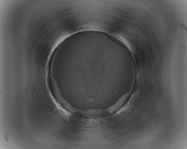 X0000097631144200802291334