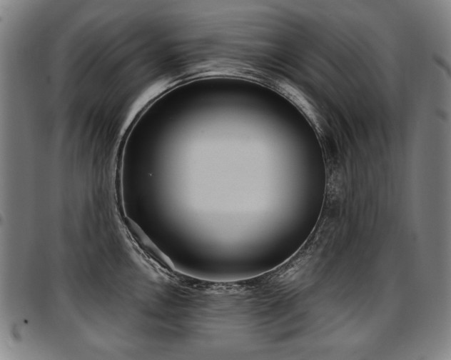 X0000097631146200802291334