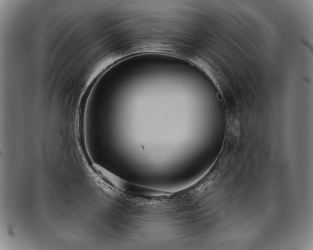 X0000097631147200802291334