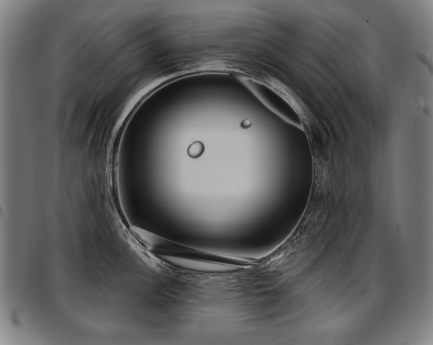 X0000097631148200802291334