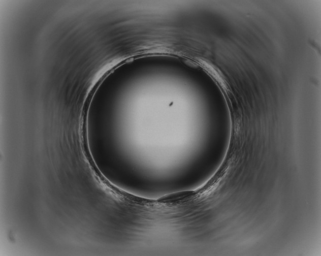 X0000097631149200802291334
