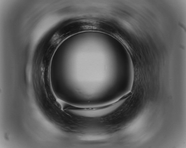 X0000097631151200802291334
