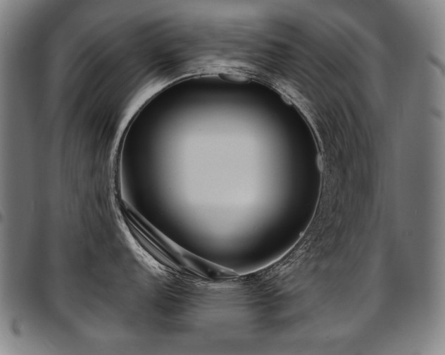 X0000097631152200802291334