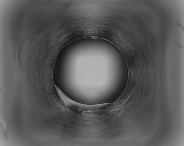 X0000097631153200802291333