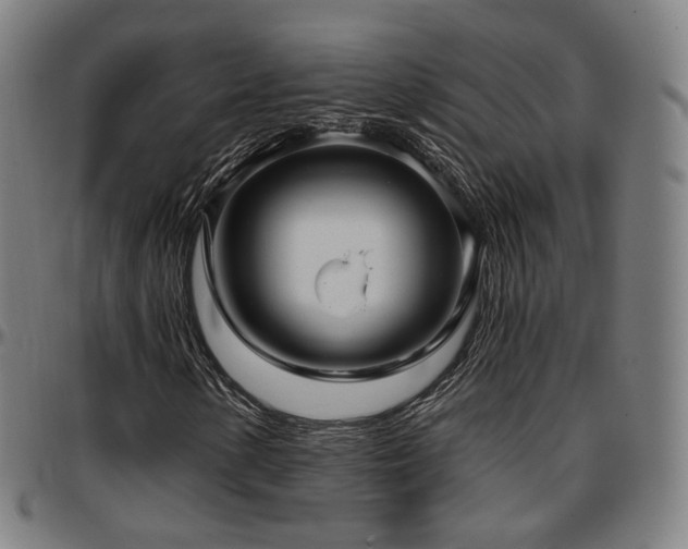 X0000097631154200802291333