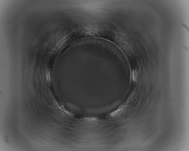 X0000097631155200802291333