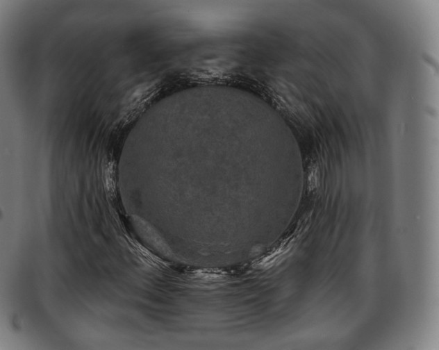 X0000097631156200802291333