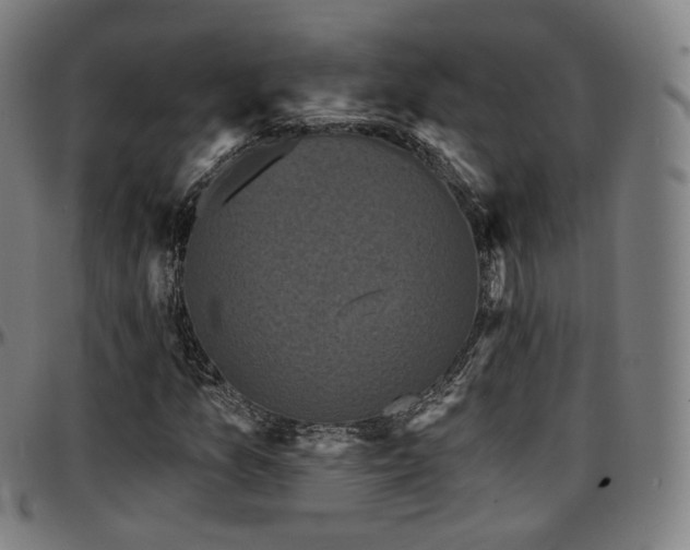 X0000097631157200802291333