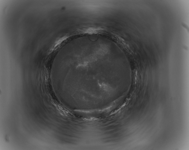 X0000097631158200802291333