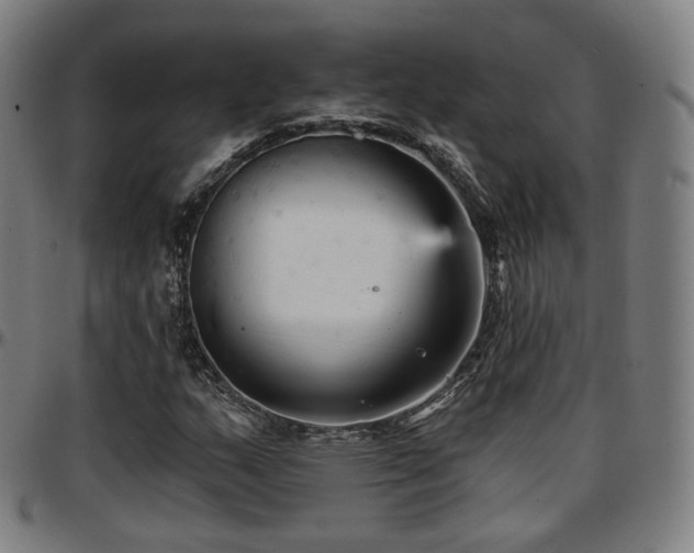 X0000097631159200802291333