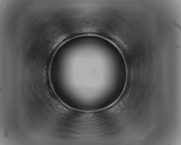 X0000097631162200802291333