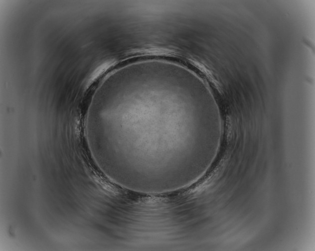 X0000097631163200802291333