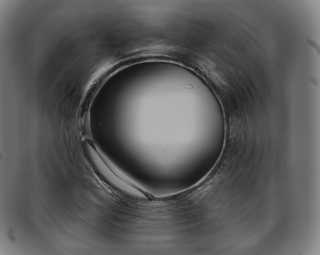 X0000097631164200802291333