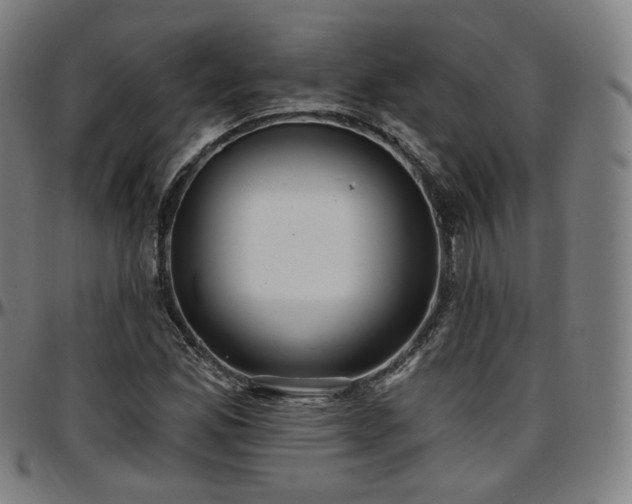 X0000097631165200802291333