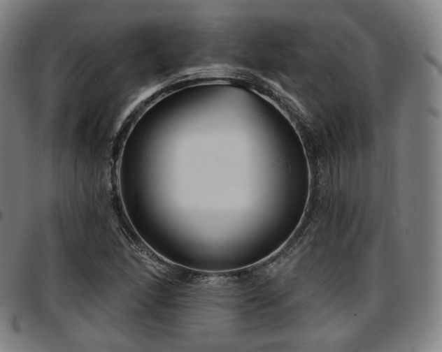X0000097631166200802291333