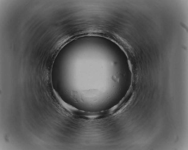 X0000097631169200802291333
