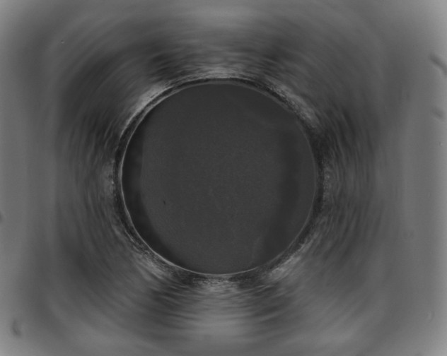 X0000097631170200802291333