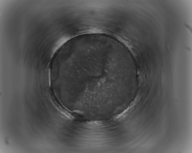 X0000097631171200802291333