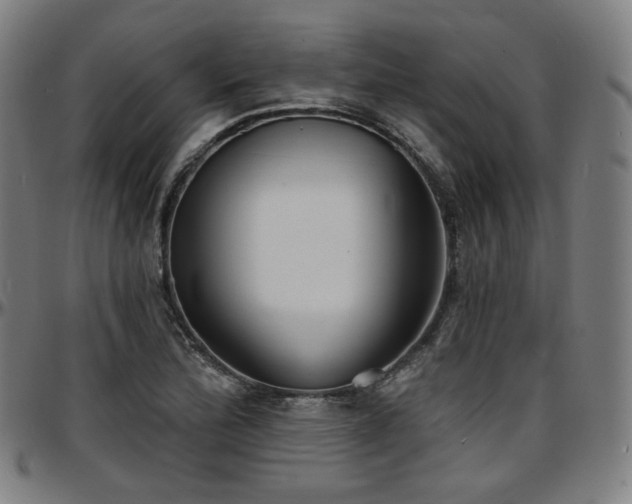 X0000097631172200802291333