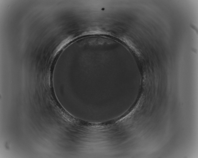 X0000097631173200802291333