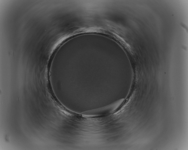 X0000097631174200802291333