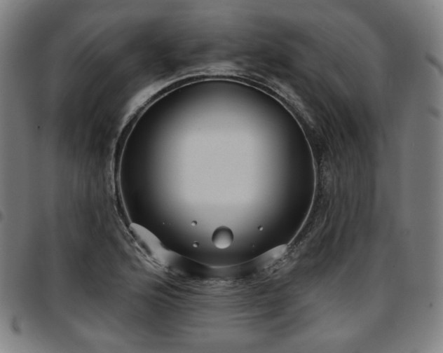 X0000097631176200802291333