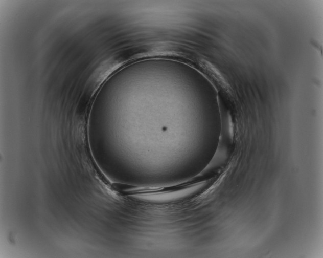 X0000097631177200802291333