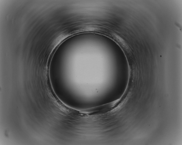 X0000097631178200802291333