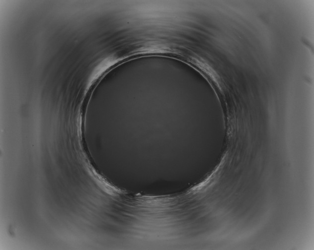 X0000097631179200802291333