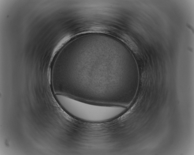 X0000097631180200802291333