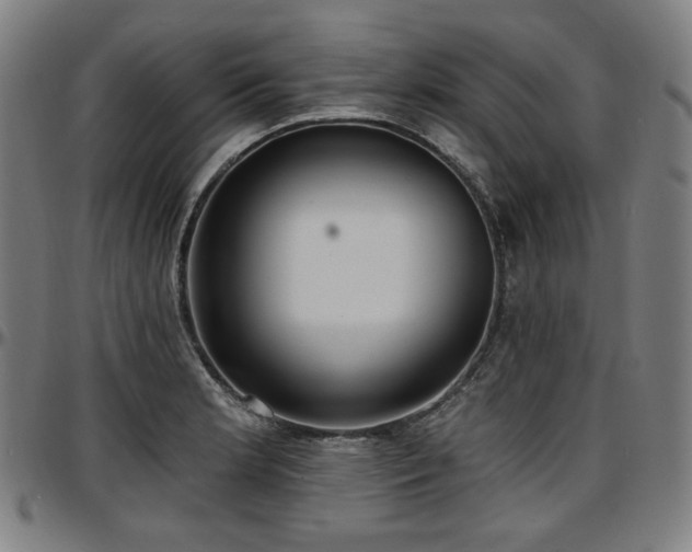 X0000097631181200802291333