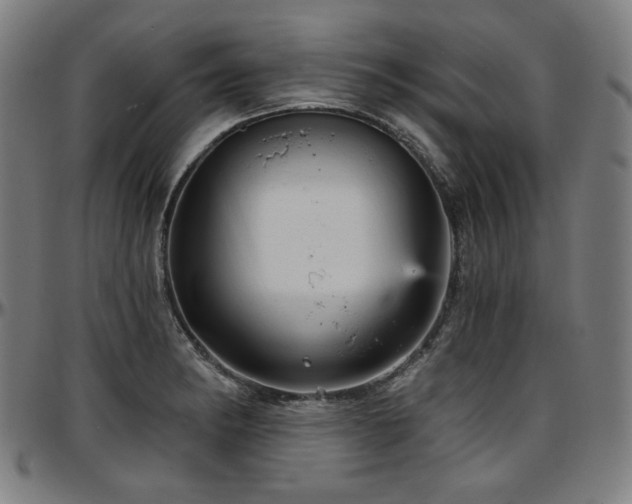X0000097631182200802291333
