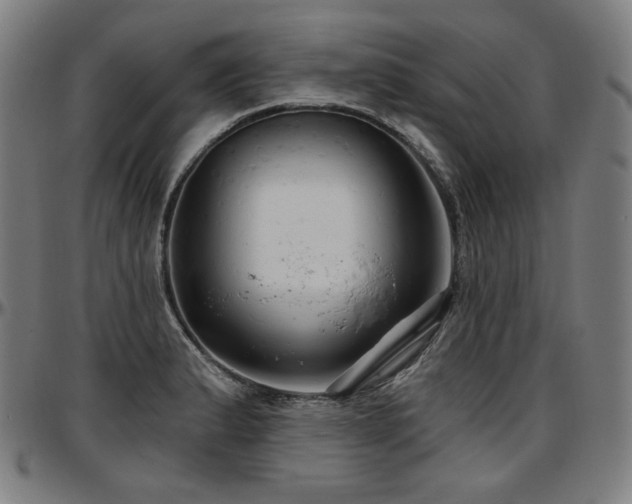 X0000097631183200802291333