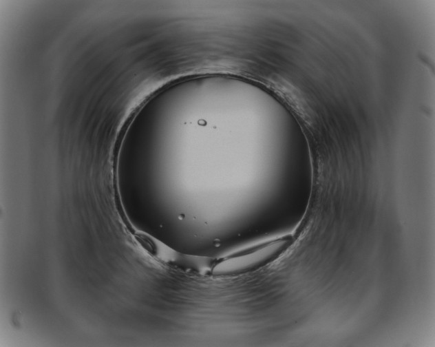 X0000097631184200802291333