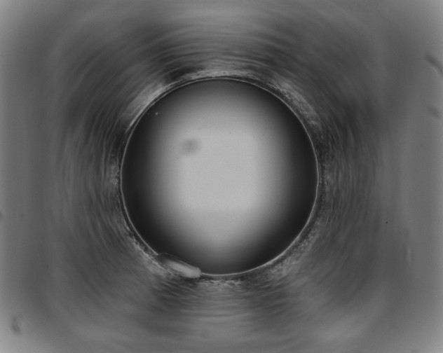 X0000097631185200802291333