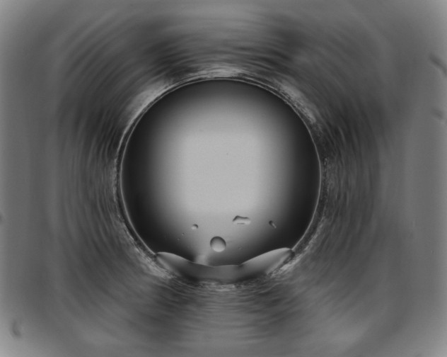 X0000097631186200802291333