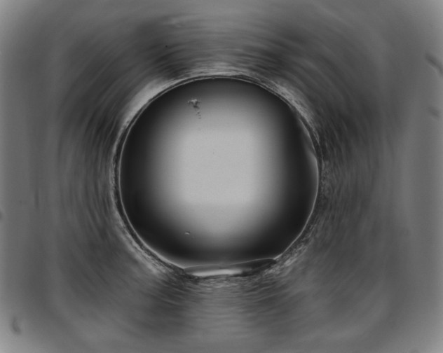 X0000097631187200802291333